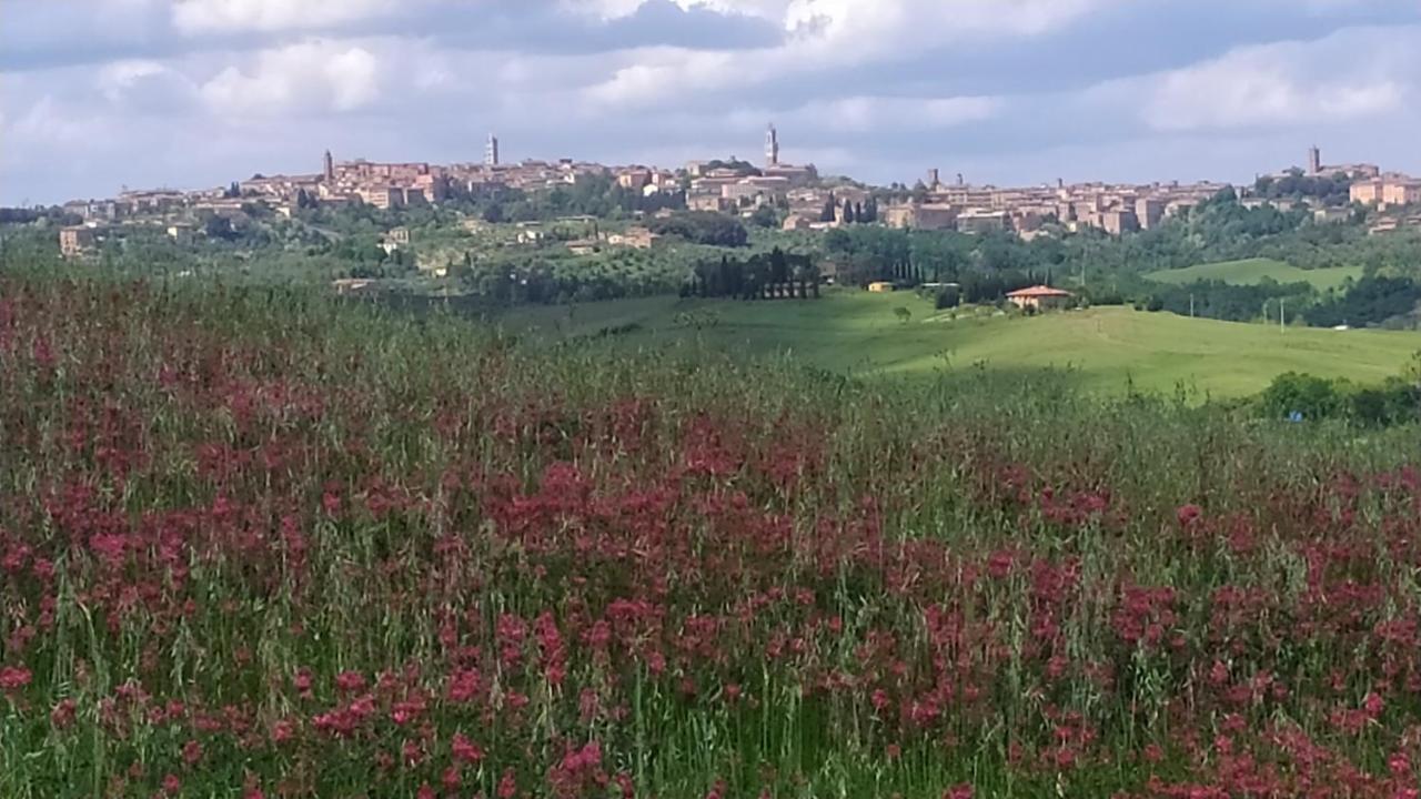 Dago Farmhouse Siena Exterior foto
